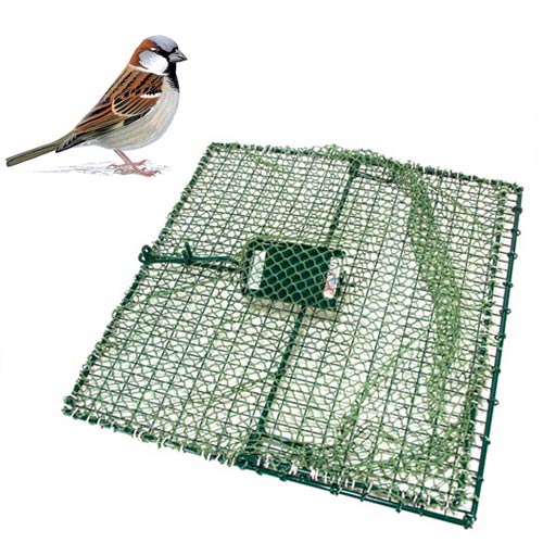 Bird Control From Wildlife Control Supplies