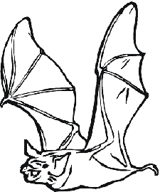 Simple Bat Outline