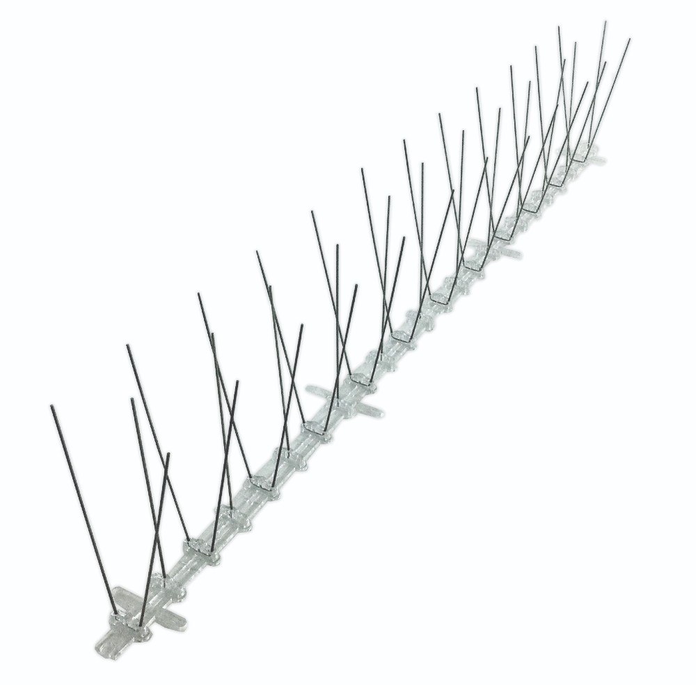 Bird-X Stainless Steel Spikes - Narrow - 100' | Wildlife Control ...