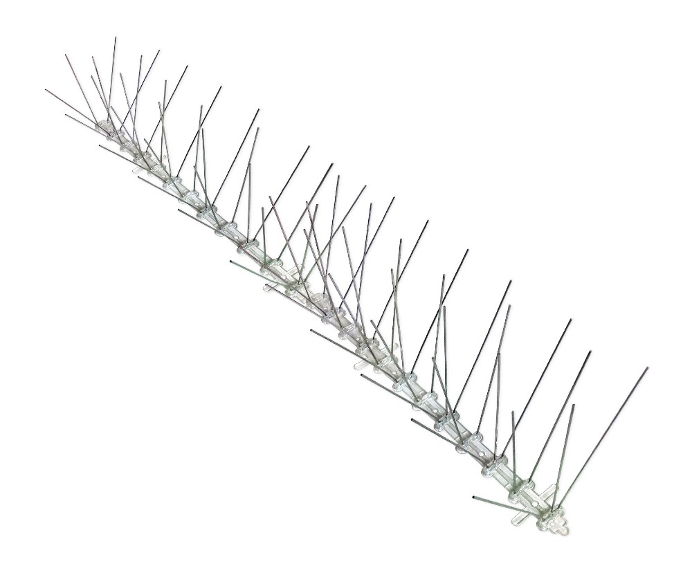 Bird-X Stainless Steel Spikes - Regular - 100' | Wildlife Control ...