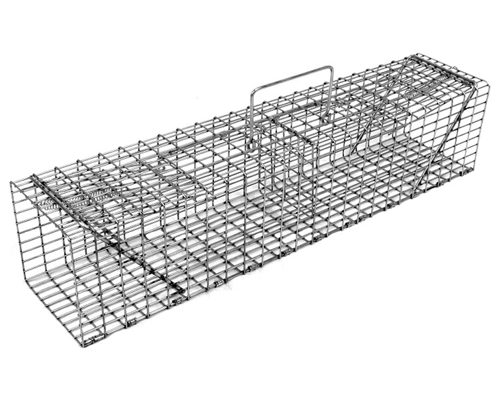 A Pair of Flying Squirrels taken in a 5x5x24 Comstock Live Squirrel Cage  Trap - Comstock Custom Cages