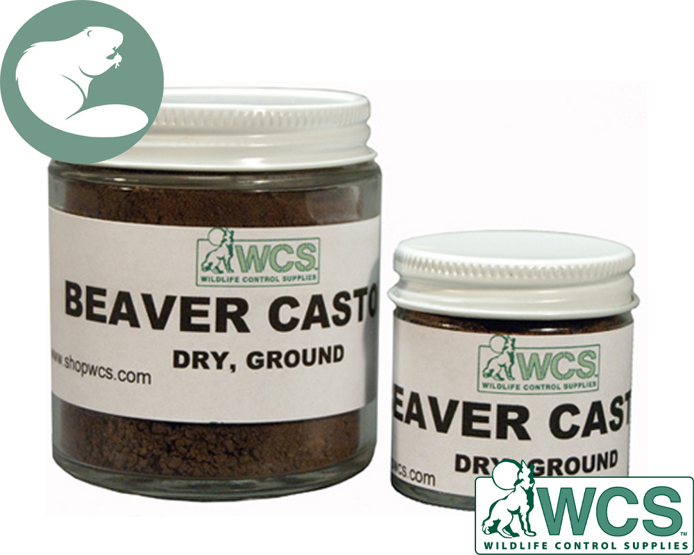 BEAVER CASTOR 4 OZ STRONG PURE GROUND AND PRESERVED BEAVER TRAPPING BOBCAT  LURE