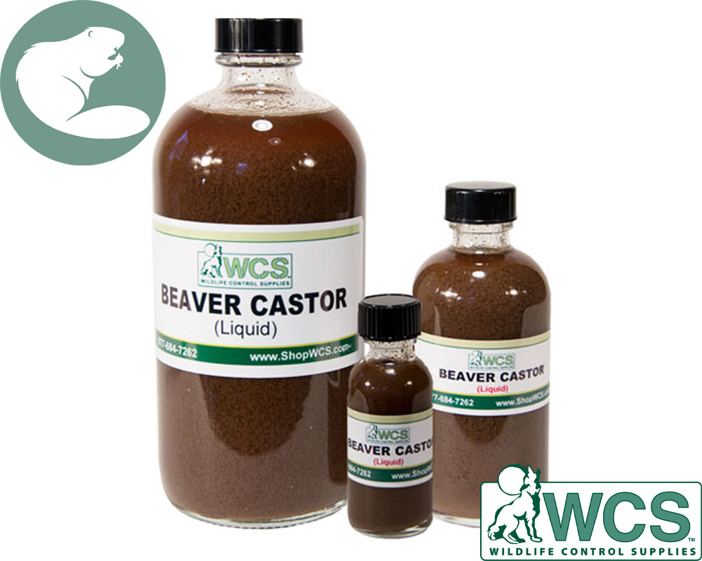 WCS™ Beaver Buffet - Beaver Food Lure (No Castor), Wildlife Control  Supplies