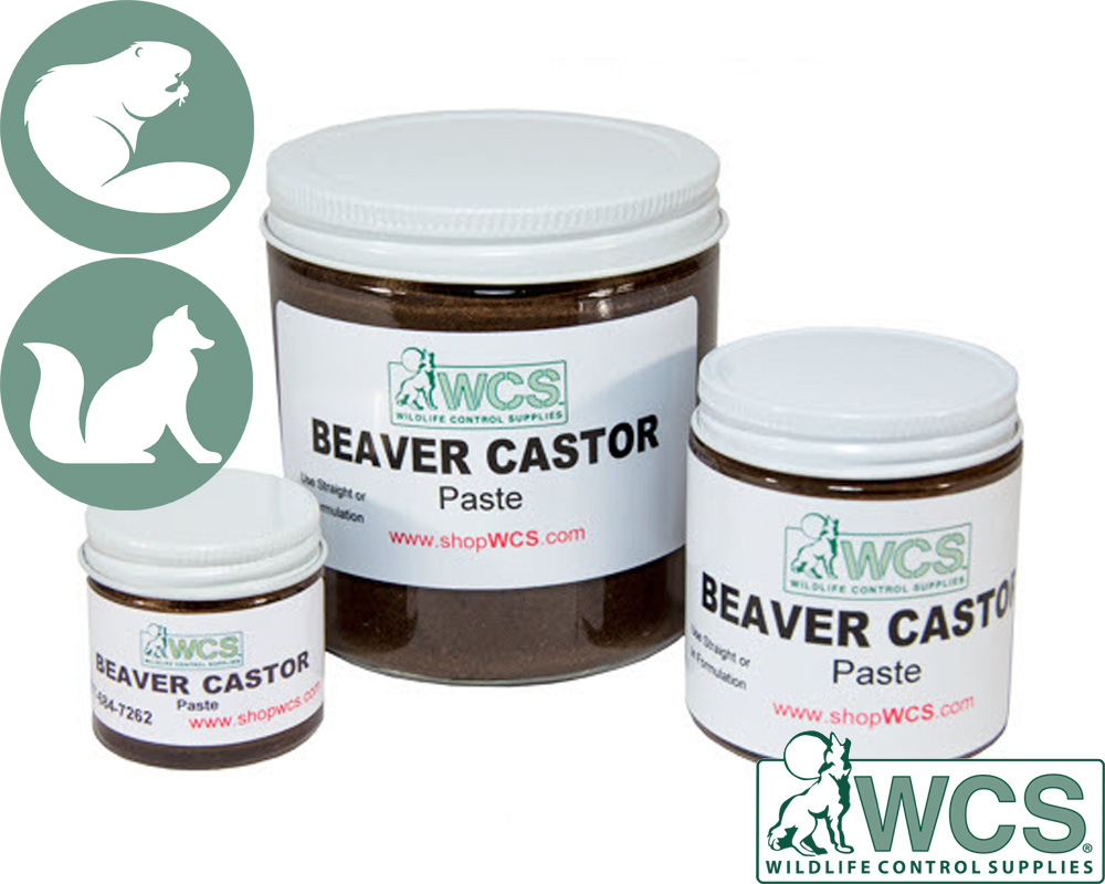 Beaver Castor - Professional Trapping Supplies