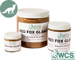 WCS™ Red Fox Glands - Ground, Aged & Preserved