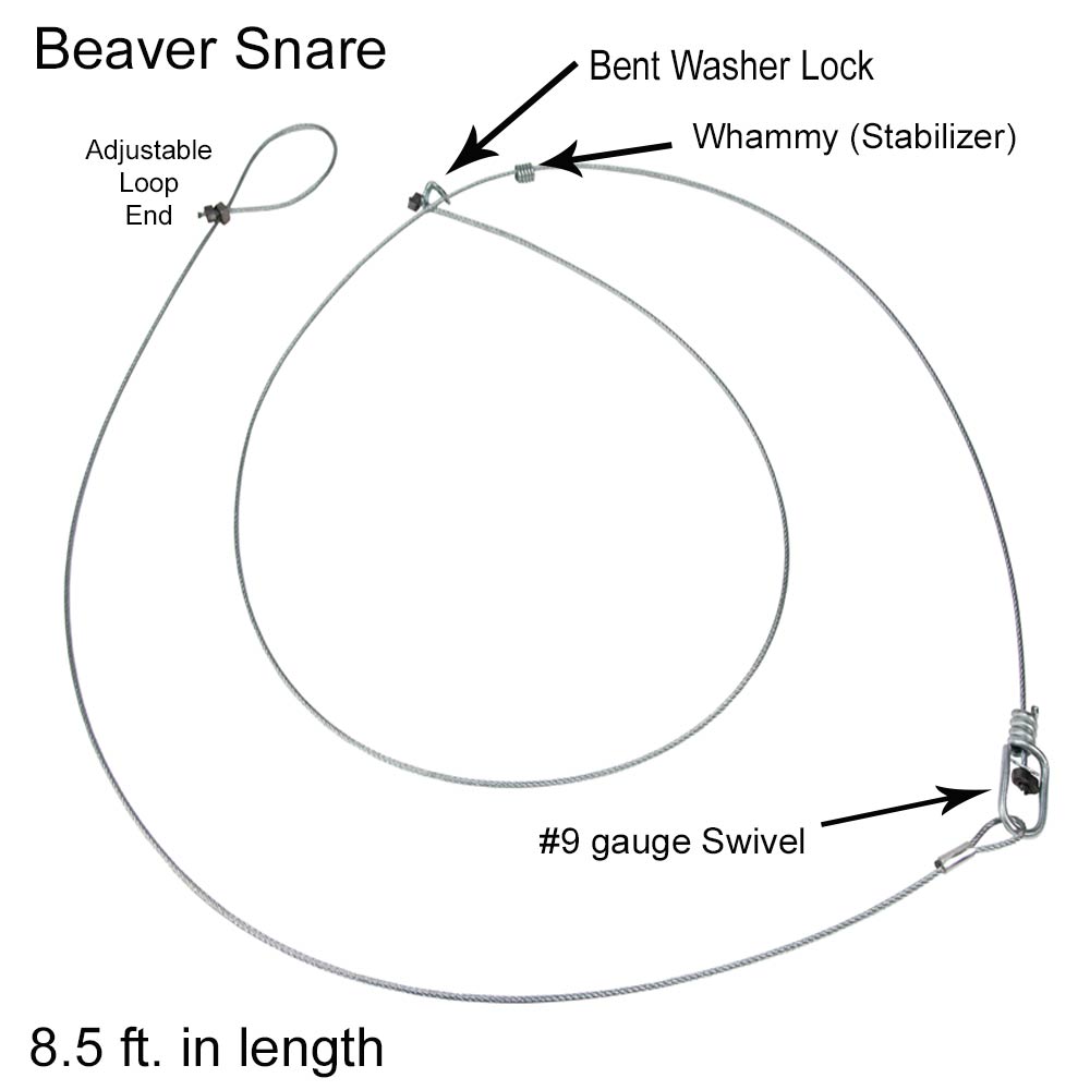 Beaver snares – Pièges Ouell Traps