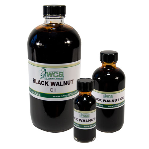 Black Walnut Oil