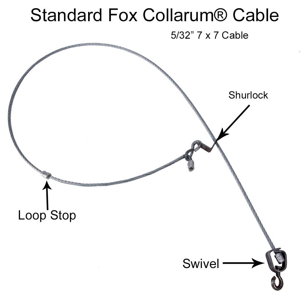COLLARUM® live capture canine device (Fox Model) - Up to 9 loop, Wildlife  Control Supplies