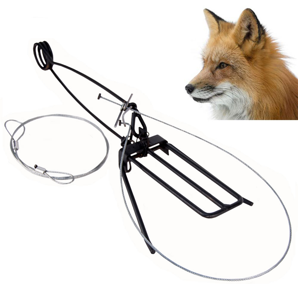 Fremont Fox Foot Snare #809 | Wildlife Control Supplies | Product Code ...