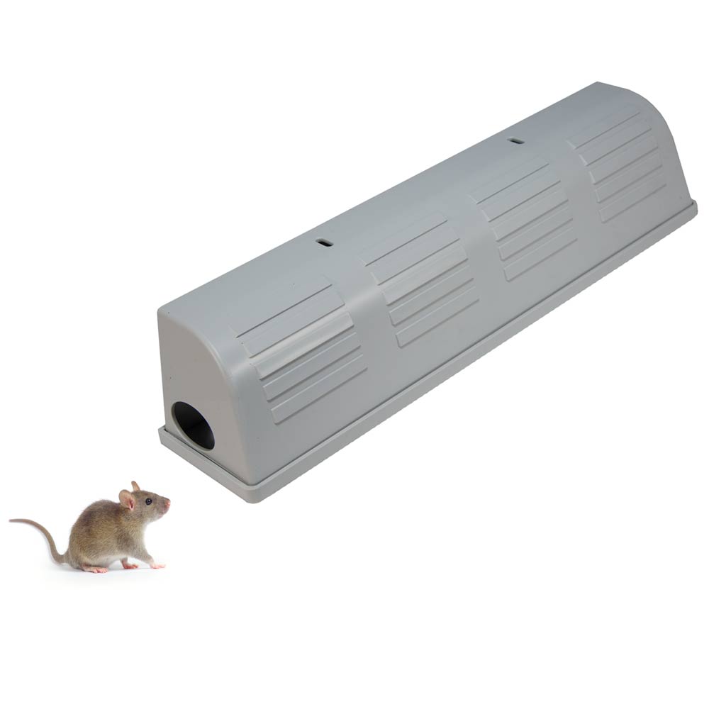 snap e mouse trap where to buy