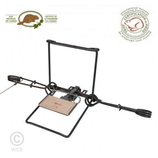 Trapping Supplies Review: Marten Trapping in Canada