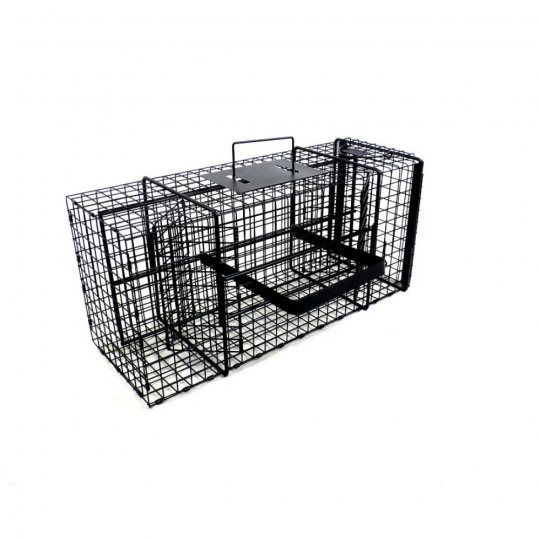 WCS™ E-Z Catch Bird Trap (17 x 17), Wildlife Control Supplies