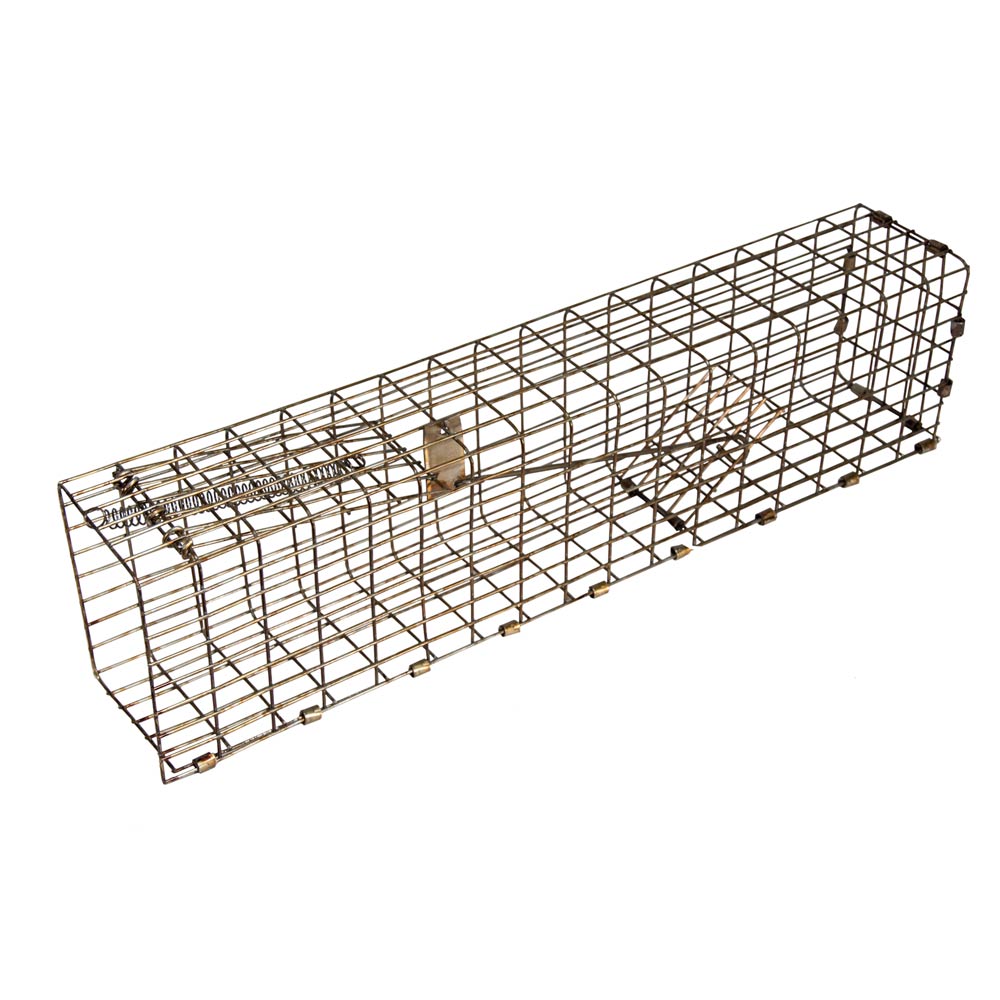  A18 Grey Squirrels Trapping Kit with Tree Mount, DIY Basket  and CO2 Canister, Pet-Friendly Grey Squirrel Trap with Digital Strike  Counter : Patio, Lawn & Garden