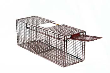 Tru-Catch™ 30LTD Light Duty Cage Trap | Wildlife Control Supplies