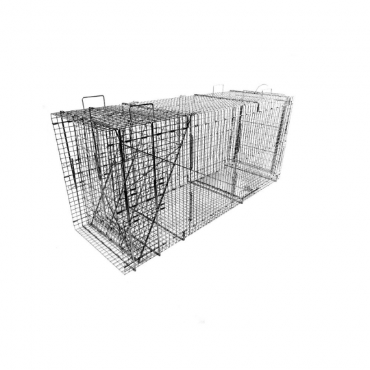 Bobcat / Coyote/ Small Dog / Fox Galvanized Metal Live Animal Trap with 1 x  2 Grid – TJB-INC Online Store