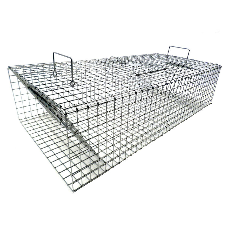 Safeguard Pigeon Trap - (3 compartment), Wildlife Control Supplies