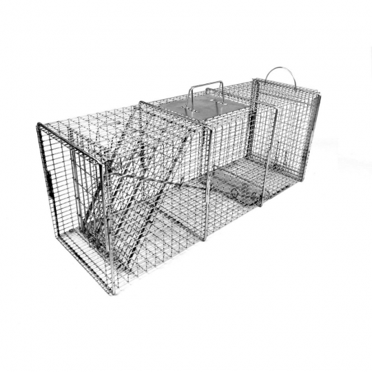 How To Set Up Animal Trap Cage - Catch Feral Cats, Raccoons