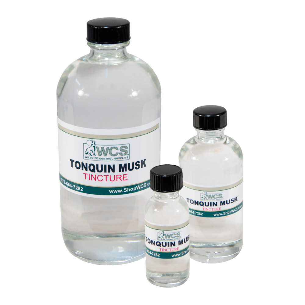 tonquin musk oil