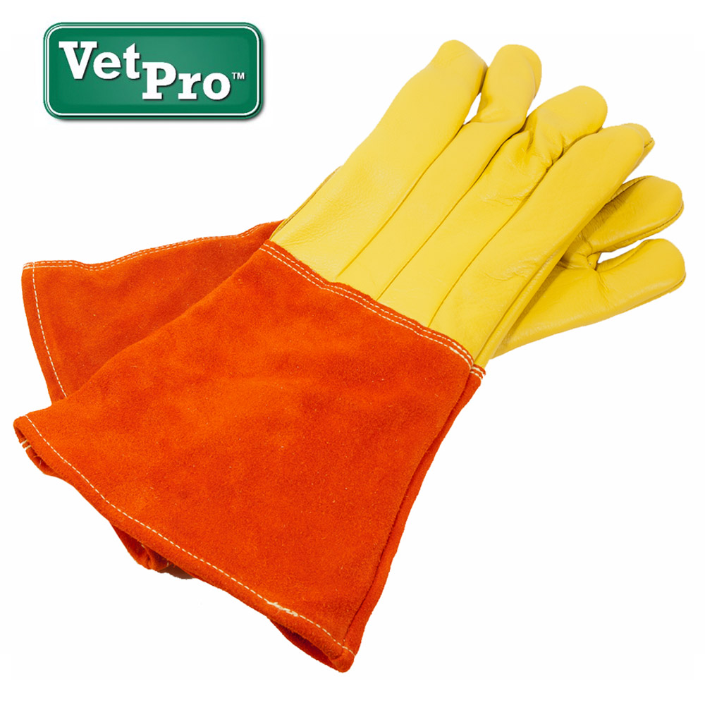 Animal Handling Equipment / Gloves / Control Poles / Nets