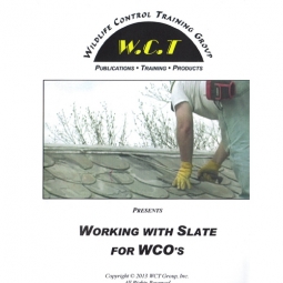 Working with Slate for WCO's by WCT Training Group