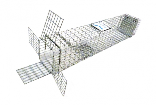 Black Fox Repeating Live Trap 24X24X4