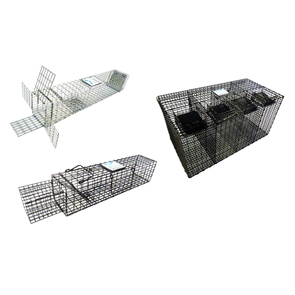 Black Fox Repeating Live Trap 24X24X4