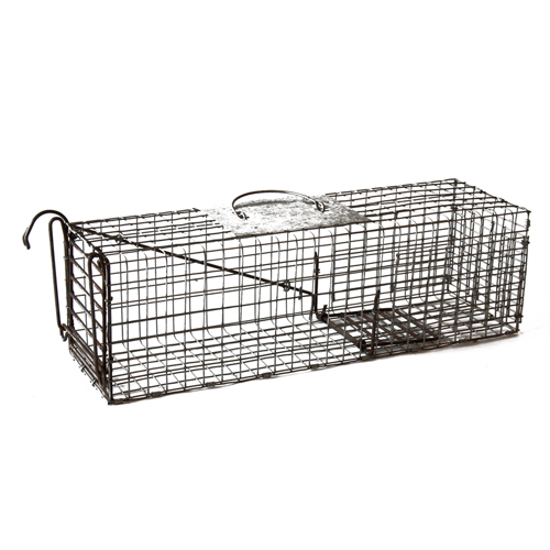 Wickenkamp Small Dog Trap (Model 50), Wildlife Control Supplies