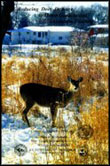 Reducing Deer Damage to Home Gardens and Landscape Plantings